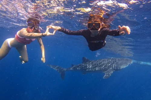 Private Oslob Whale Shark Watching & Snorkeling Tour with Tumalog Falls